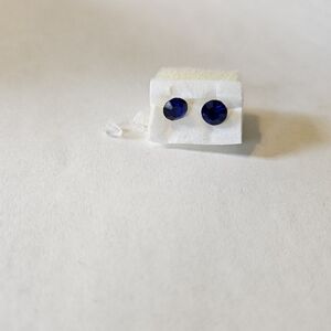 Elegant Blue Stud Earrings